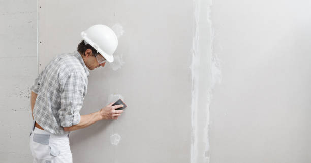 Best Eco-Friendly and Low-VOC Painting  in Lakeview, OR